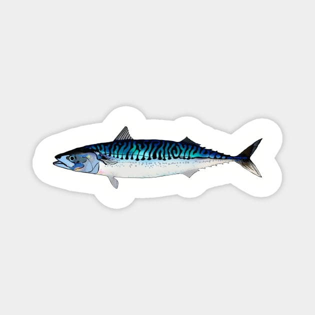 Shimmering Mackerel Magnet by betsyschrock