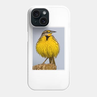 Eastern Meadowlark No 1 Phone Case