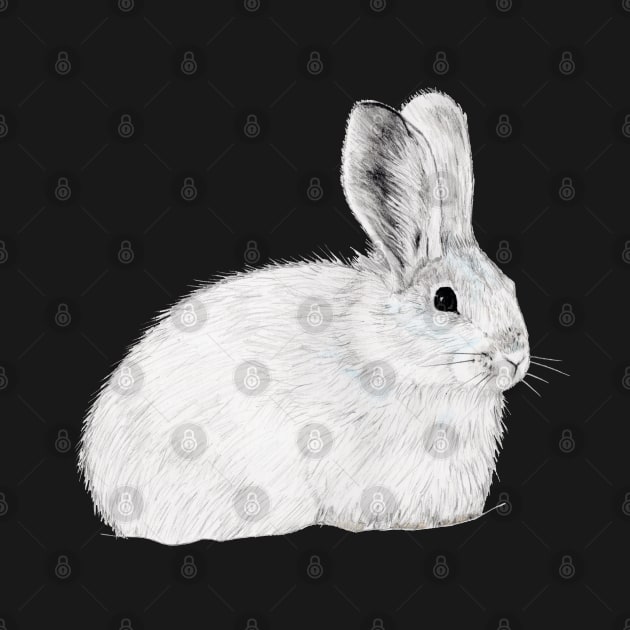 Snowshoe Hare by CoffeeberryArt