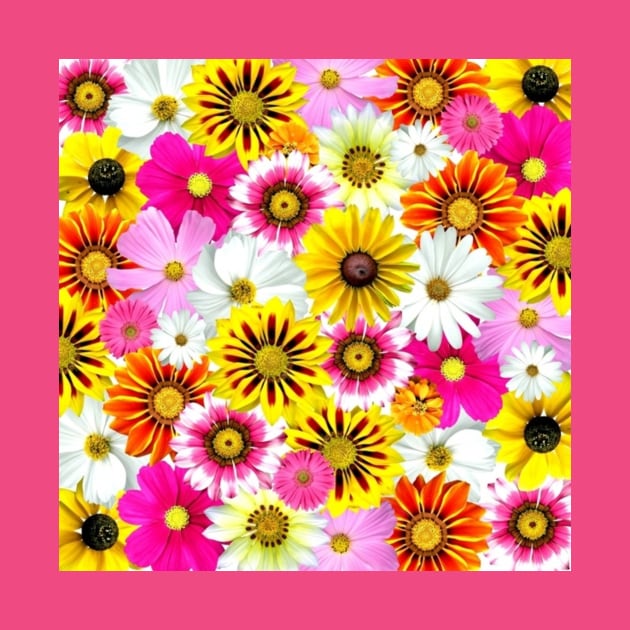 colorful little flowers by PREMIUMSHOP