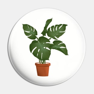 Monstera plant Pin