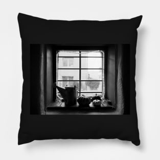 Adobe Window Autumn Still Life Pillow