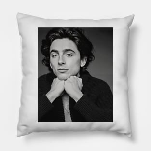 The Promise of Timothée Chalamet Pillow