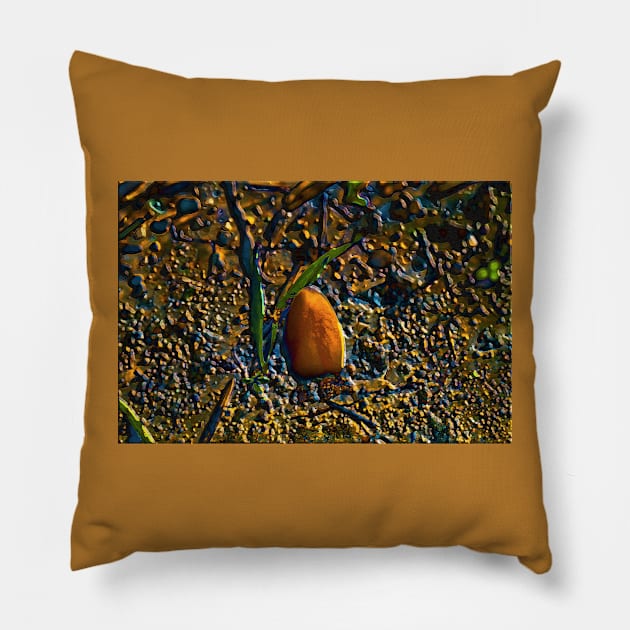 Golden Wheat Seed Pillow by mavicfe