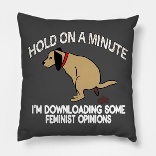 Sarcastic Downloading Feminst Opinions Dog Pooping Pillow