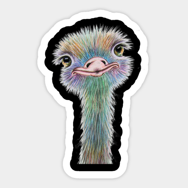 colorful ostrich