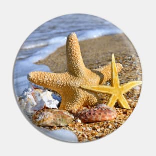 Starfish and Sea Shell Pin
