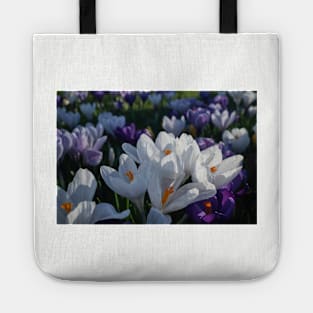 The flowers that bloom in the Spring tra la! (2) Tote