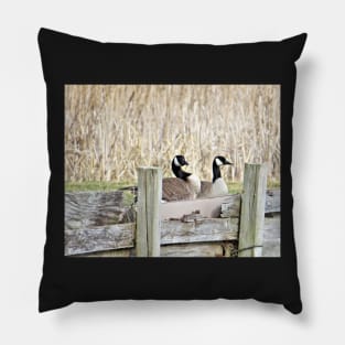 Canada Geese Pair No.5 Pillow