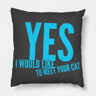 Yes, i would like to meet your cat Pillow