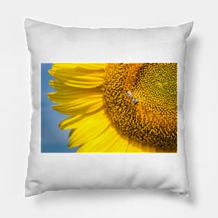 Sunflower with bee. Pillow