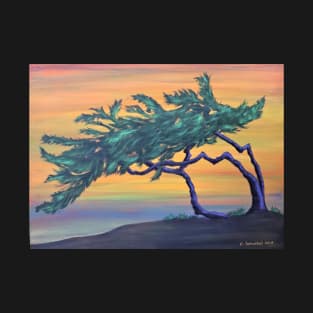 Windblown cypress at sunset T-Shirt