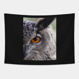 Eurasia Eagle Owl Tapestry