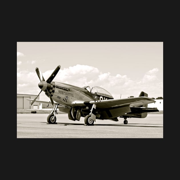 P-51 Classic Mustang WW2 Fighter Plane by Scubagirlamy