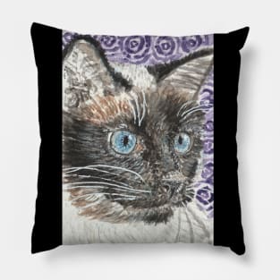 Siamese cat  face  blue eyes Pillow