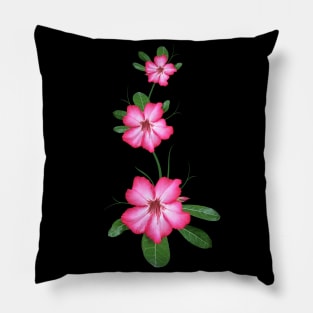 Desert Rose - Flower in Kenya / Africa Pillow