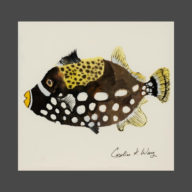 Humbug dascyllus fish by Cwang