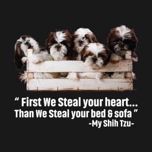 First We Steal your heart... Than We Steal Your Bed & Sofa.png T-Shirt