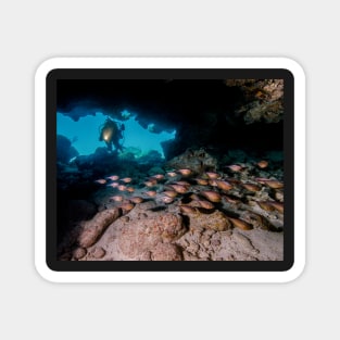 Diver in Cavern With School of Fish Magnet