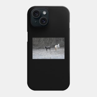 Wild Horse Foal Phone Case