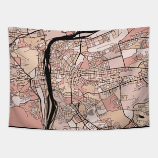 Prague Map Pattern in Soft Pink Pastels Tapestry