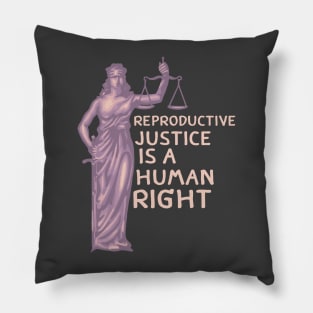 Reproductive Justice Pillow