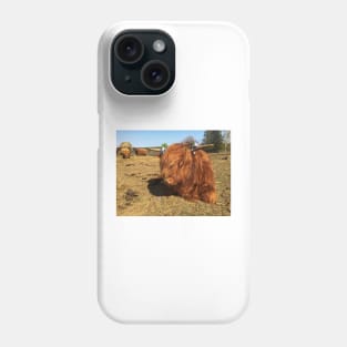 Scottish Highland Cattle Calf 1981 Phone Case