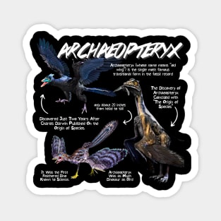 Archaeopteryx Fun Facts Magnet