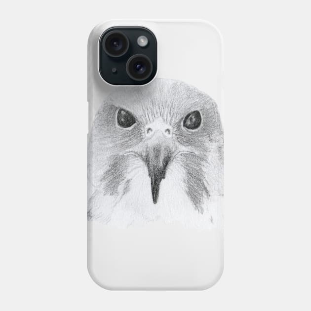 Peregrine Falcon Phone Case by lindaursin