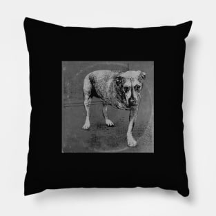 Alice's Dog Long Play BW Pillow