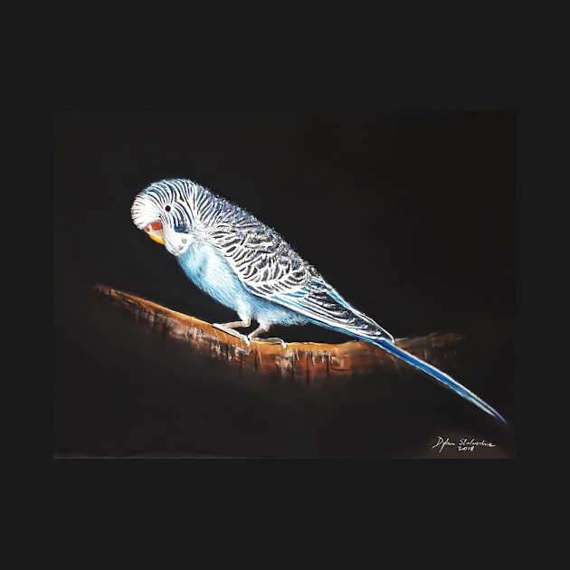 Budgie by dylanshelmerdine