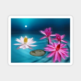 Water Lilies Magnet