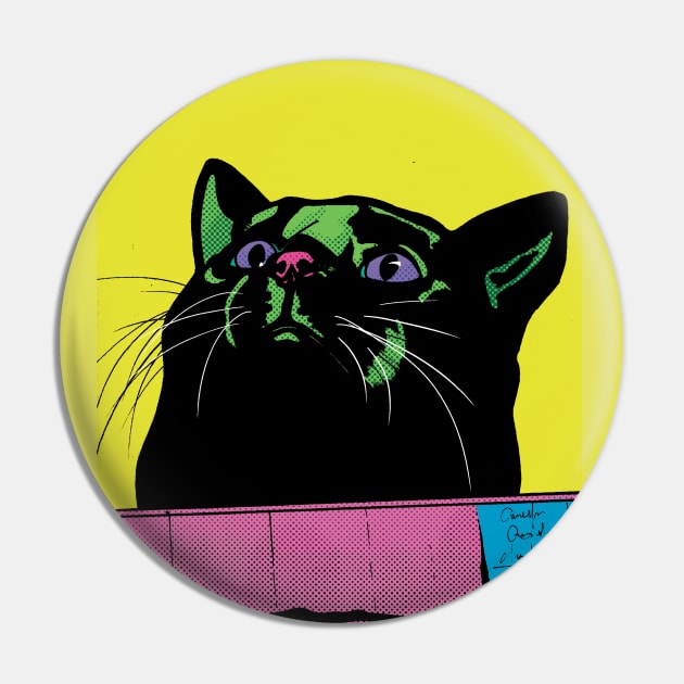 Fat Cat in a Box Pin by ElenaCasiglio