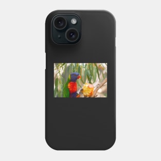 Rainbow lorikeet eating apple. Phone Case