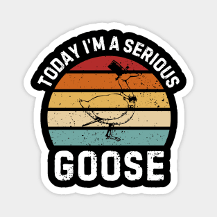 Today I'm A Serious Goose Magnet