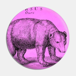 Pinkbear Antique Engraving Pin