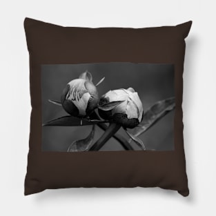 Unbloomed Flowers Pillow