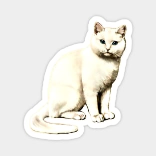 Cute white cat Magnet