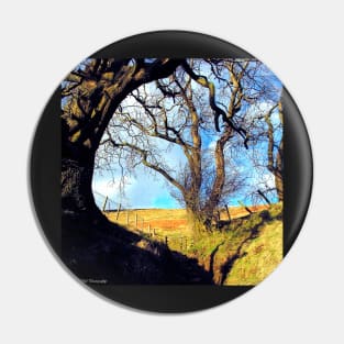 woodland path Pin