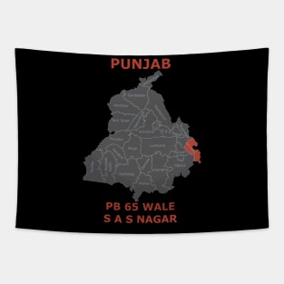 Punjab 65 SAS NAGAR Tapestry