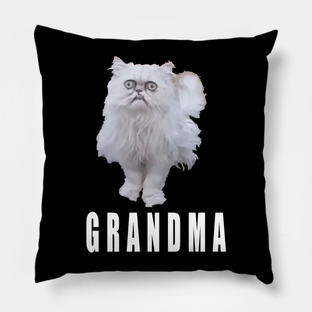 This Stray Cat Looks Like Grandma Meme Cat Pillow Teepublic