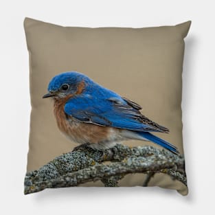 Blue Bird on Branch Pillow