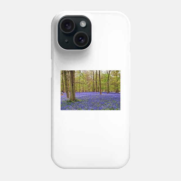 Bluebells Bluebell Woods Greys Court Oxfordshire UK Phone Case by AndyEvansPhotos