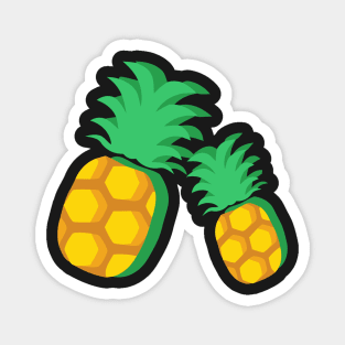 Ananas on the Summer Magnet