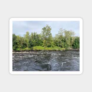 Flooding River in the Forest Magnet