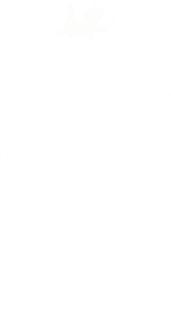 Wales Grand Slam Rugby Union Champions Magnet