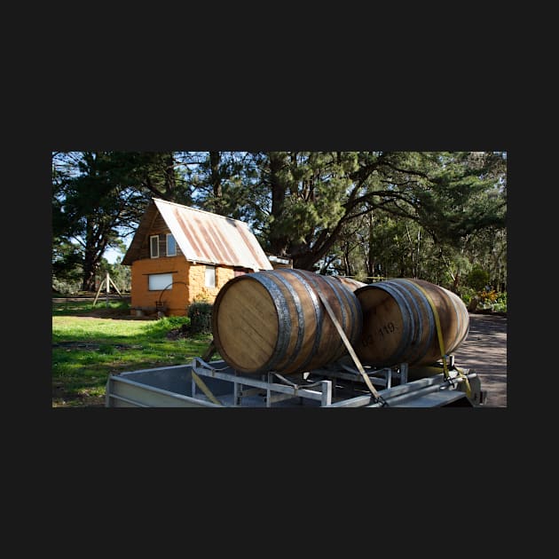 Wine Barrels at Magpie Springs Adelaide Hills Wine Region - Fleurieu Peninsula - by South Australian artist Avril Thomas by MagpieSprings