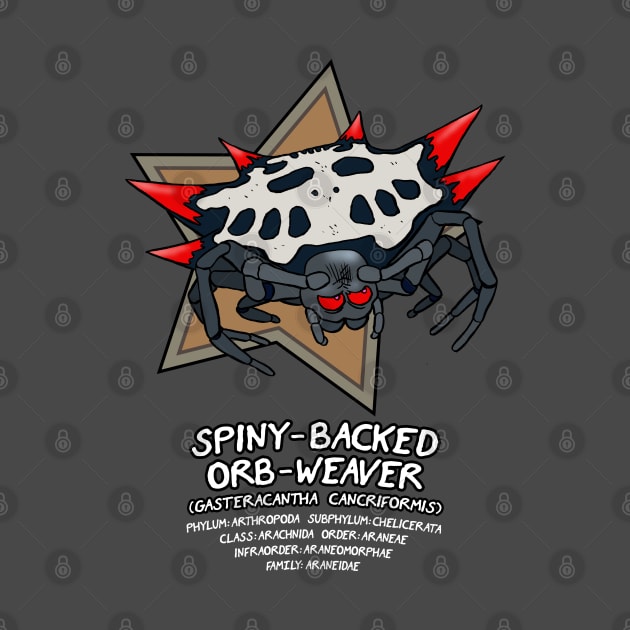 Spiny-Backed Orb-Weaver by Cyborg One