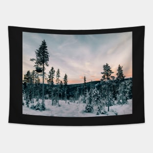 Fir Tree Forest in Warm Evening Light on Cold Winter Day (Norway Tapestry