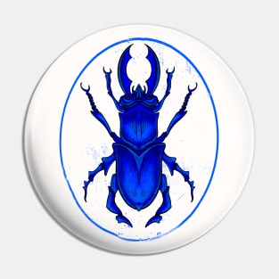 Bleu Beetle, scientific illustration drawing Pin